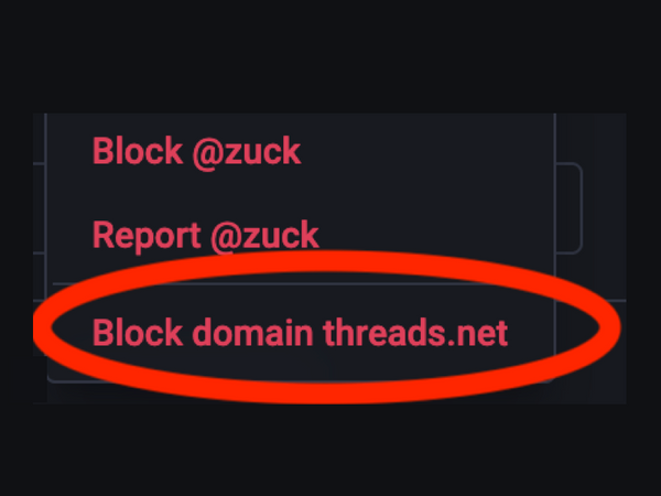 A menu, with red text.  The third entry, with a big red circle around it, is "Block domain threads.net"